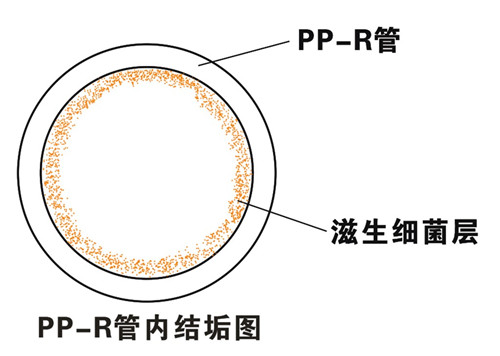 PP-R滲氧，易滋生細(xì)菌，有異味；腐蝕金屬連接件，降低使用壽命